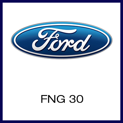 fng-30