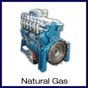 Natural Gas Engines